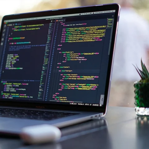 Qu-est-ce que WordPress